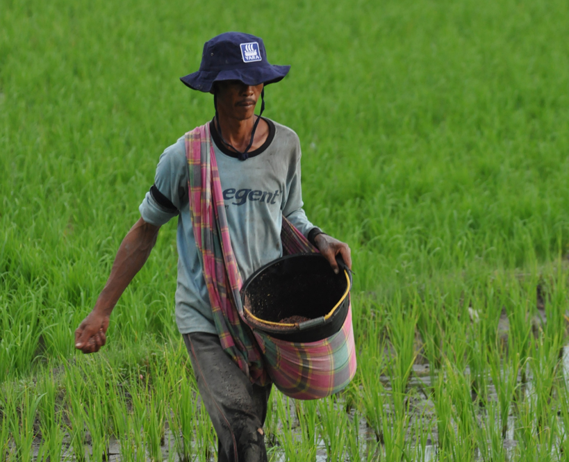 Yara Donates Fertilisers to Flooded Rice Farmers