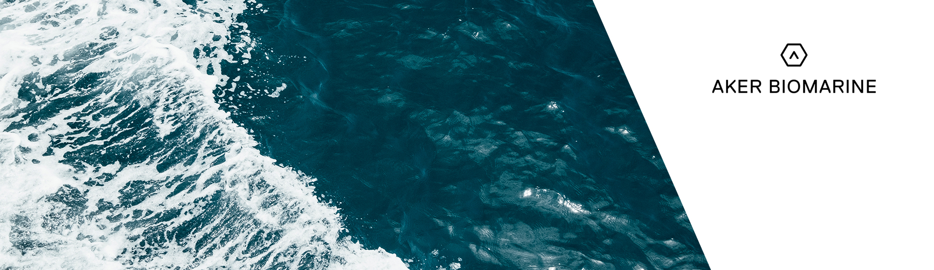 Krill Meal improves Health and Performance of Salmonids by Aker Biomarine