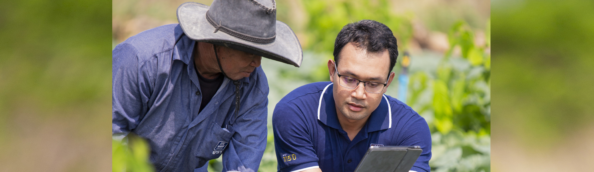 Yara is far more prevalent in Thailand than people realise. From the country’s sprawling farmlands to the digital shelves of e-commerce, its product and impact can be felt just about everywhere. Yara’s contributions extend beyond their fertiliser. They understand farmers' sensitivities, build physical presence and relationships.