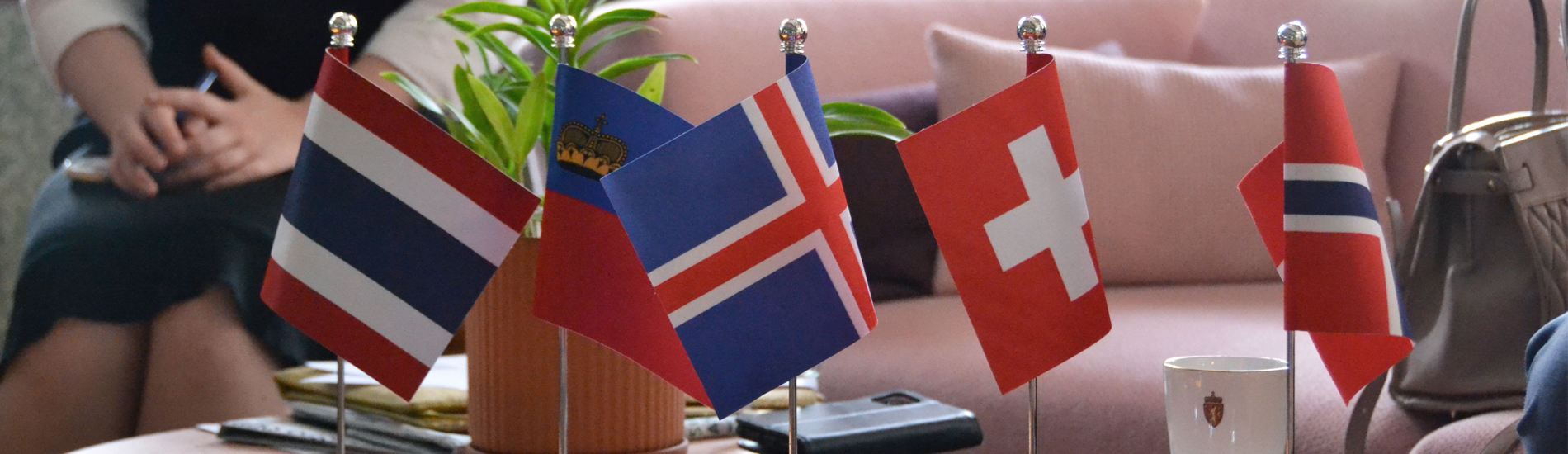 Flags of European Free Trade Association (EFTA) in FTA discussions