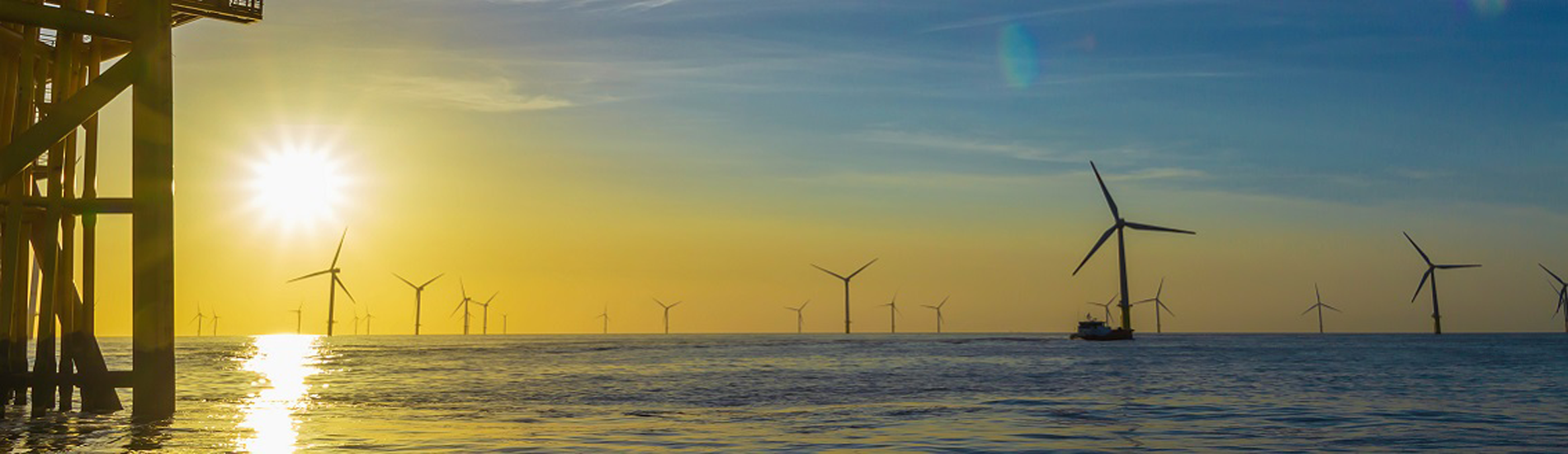 Marine and Offshore Wind Coexistence Planning by DNV
