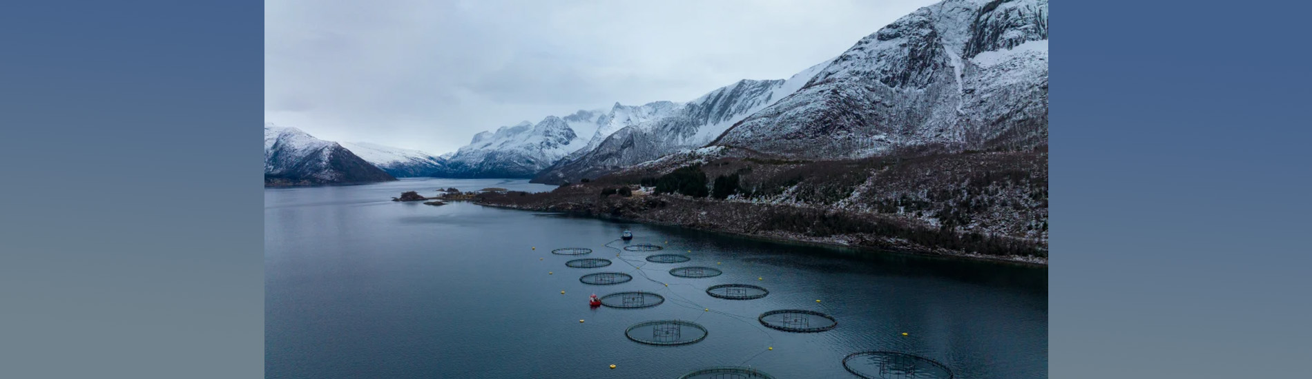 Norwegian Aquaculture is the Top-Ranked Sustainable Animal Protein Production