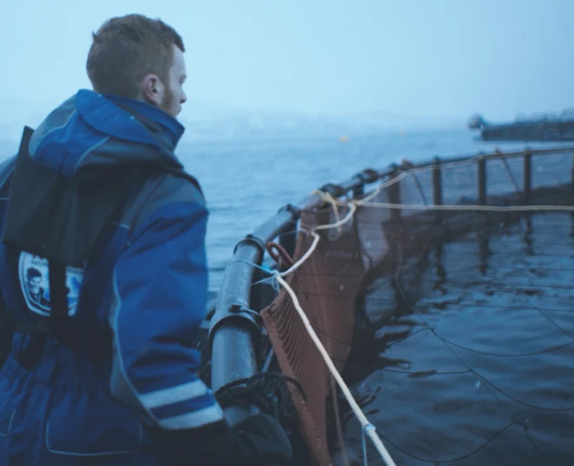 Norwegian Aquaculture is the Top-Ranked Sustainable Animal Protein Production