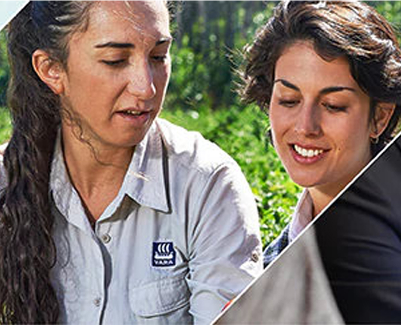 Job Opportunity at Yara: Government Relations & Public Affairs Manager