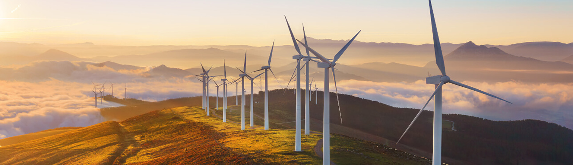 DNV launches joint industry project to confirm potential of wind farm control technology