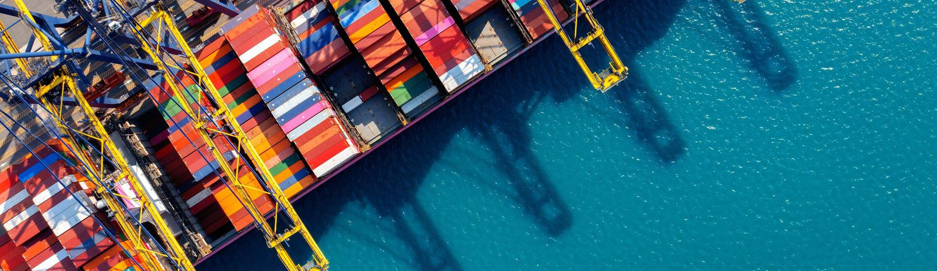 Trade Figures for Full Year 2023 Released by Norway Connect