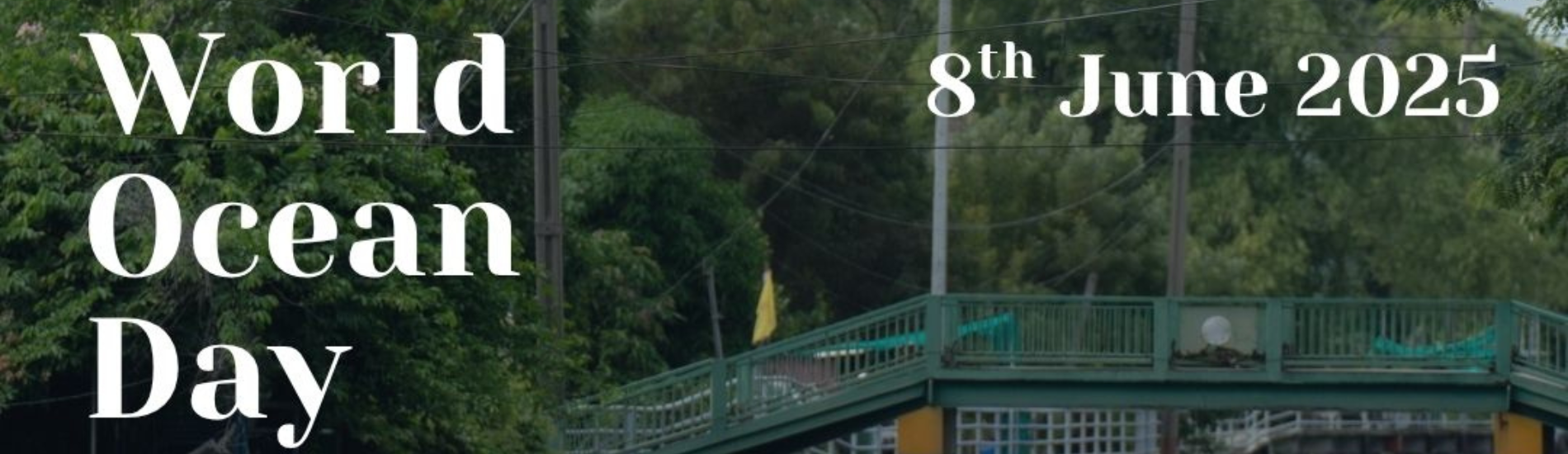 World Ocean Day Clean-Up with Starboard