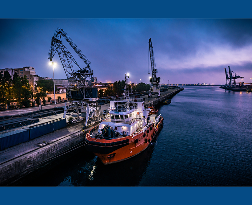 Trade Figures for Jan-Nov 2025 released by Norway Connect