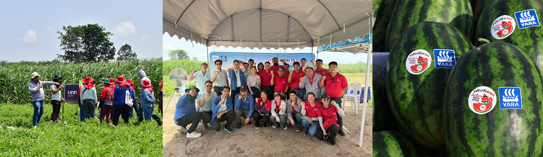 Yara and East West Seed Collaborate to Advance Thai Agriculture