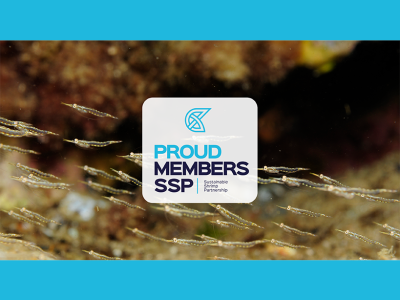 Aker QRILL Company Joins Sustainable Shrimp Partnership