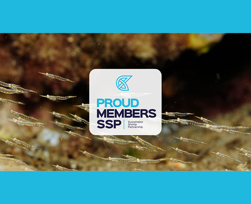 Aker QRILL Company Joins Sustainable Shrimp Partnership